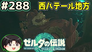 【実況】天空の城ハイラル！ゼルダの伝説TotKをツッコミ実況Part288