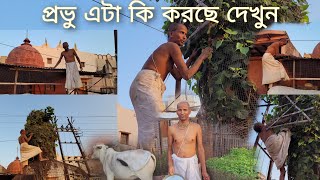 বৃন্দাবন ধাম |  তুলসী প্রভু কত কষ্ট করে সেবা করে দেখুন ! চোখে জল আসবে