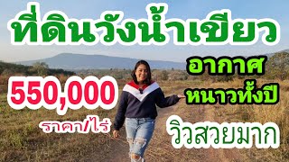 #ที่ดินวังน้ำเขียว ไร่ละ550,000 บาท อากาศหนาวทั้งปี [EP.887] เหลือ10แปลงสุดท้าย #มาดามโอ๋