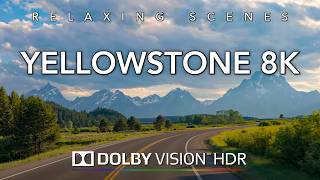 Driving Yellowstone in 8K HDR Dolby Vision - Yellowstone National Park to Jackson Wyoming