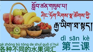 རྒྱ་སྐད་རྒྱ་ཡིག་དང་བོད་ཡིག་བཅས་གྱི་ཤིང་ཏོག་རིགས་མི་འདྲ་བའིི་ཐ་སྙད།中文汉语藏文水果词汇Chinese Learning