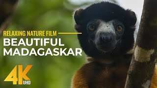 Incredible Beauty of Madagascar Island - Relaxing Nature Film  in 4К UHD