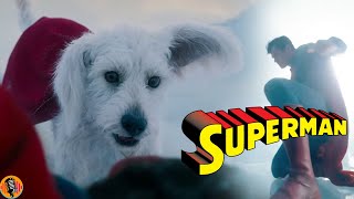 Krypto in SUPERMAN is terrible says Director