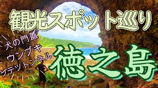 「徳之島の観光スポットを巡ってみた！」2023年夏旅④　犬の門蓋　ウンブキ　金見崎のソテツトンネル