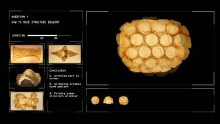 Microbial Cellulose