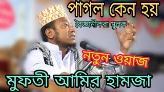 মানুষ কয়টি কারণে পাগল হয় ! বৈজ্ঞানিক কি বলে ! মুফতী আমির হামজা ! bangla Waz Mufti Amir hamza 2019