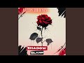 Dignity Fading