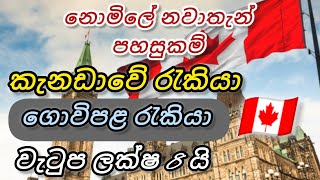 කැනඩාවේ ගොවිපළ රැකියා.වැටුප් ලක්ෂ 8 යි.නොමිලේ නවාතැන් farm foreign job vacancies in canada free visa