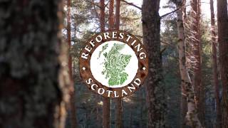 Reforesting Scotland's Thousand Huts Campaign