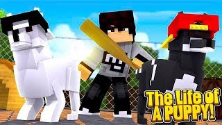 Minecraft Toys 29 The Little Sister Turns Ropo Jack Into Girls - ropo and jack roblox jailbreak