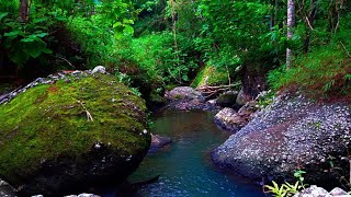 Calming Water River Soundscape for Relaxation, Sweet Dream | sleep - relax - enjoy life - ASMR