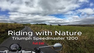 Triumph Speedmaster 1200 - IT JUST GETS BETTER EVERY MILE. "BUY ONE"  FULL EDIT