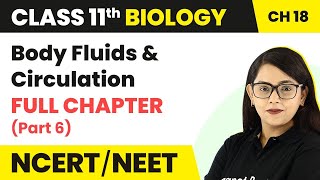 Body Fluids And Circulation Full Chapter Explanation (Part 6) | Class 11 Biology Ch 18 NCERT/NEET