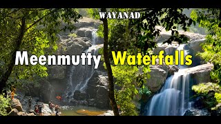 Wayanad Makkiyad meenmutty waterfalls / തേയില തോട്ടങ്ങൾക്ക് അടുത്ത് മനോഹരമായ വെള്ളച്ചാട്ടം