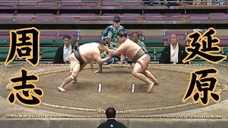 延原（二子山部屋）VS周志 令和6年9月場10日目#sumo #相撲 #二子山部屋