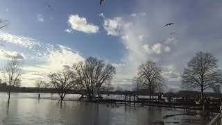 Hochwasser am Rhein, Germany, 2021