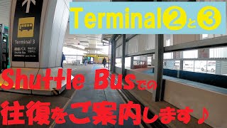 成田空港第３ターミナルアクセス☆Terminal 3 from Terminal 2 at Narita Airport- 第２ターミナルからはバス・徒歩？☆Bus/Walk?