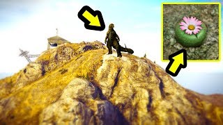 فاكهة الوحش هذا هو أعظم سر في قراند 5 | GTA V Peyote Plant Secret