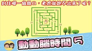 動動腦時間5｜要封住哪一個開口，老虎就走不出來了呢？｜大大小小