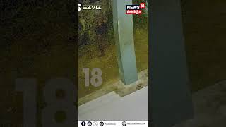 എറണാകുളത്ത് ഭീതി പരത്തി കുറുവ സംഘം ; CCTV ദൃശ്യങ്ങൾ പുറത്ത് | Kurava Robbery Gang | N18S | #shorts