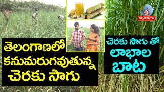 Sugarcane Cultivation Tips | Natural Farming | చెరుకు పంట అదిక దిగుబడి సాగు పద్దతులు