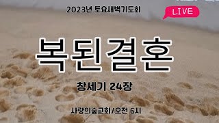 토요새벽기도회(사랑의숲교회) #새벽기도회 #아침기도 #사랑의숲교회