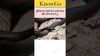 दुनिया का सबसे तेज़ चलने वाला साँप कौन सा है?🐍 #gkquiz #generalknowledge