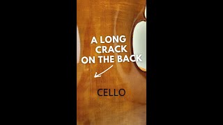 Long Crack On Cello Back!! - Cello Repair Step By Step #shorts