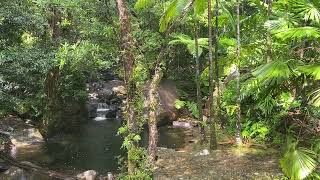 Sunshower in the jungle at Daintree Secrets