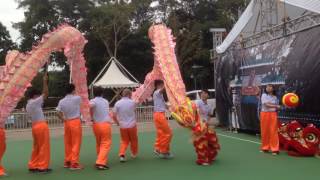 香港廟宇文化節 2016  舞龍表演 - Dragon Dance Performance