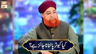 Kya Kabootar Palna Na Jaiz hai? | Mufti Muhammad Akmal