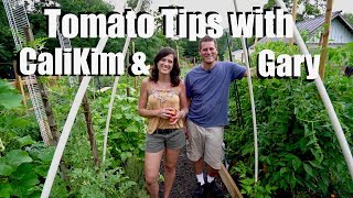 Tomato Tips \u0026 Tricks with CaliKim and Gary- Managing Disease, Productivity, Favorite Varieties