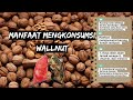 Manfaat Mengkonsumsi Wallnut