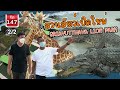 สวนสัตว์เปิดใหม่ล่าสุด Sriayuthaya Lion Park - เพื่อนรักสัตว์เอ๊ย EP. 147 [2/2]