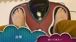 【マッサージ器】MARUTAKA LEG ASSIST D424 衝動買い