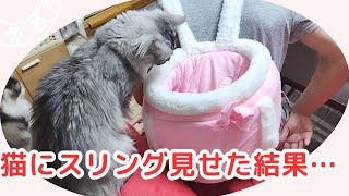 スリング背負って猫の前に座った結果