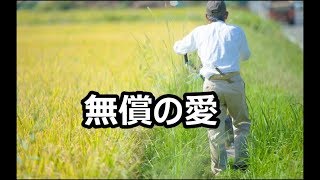 【感動する話】おじいちゃんは本当に馬鹿だなって思った【泣ける話】