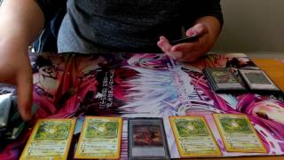 Top 8 Pure Zoodiacs Linköping Regionals