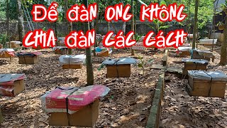 Để hạn chế tối đa đàn ong không chia đàn trong vụ mật hè