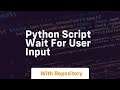 python script wait for user input