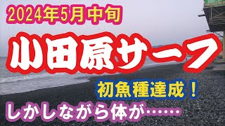 【2024年5月中旬】小田原サーフにてサーフトローリング【釣行】