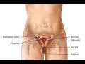 Pelvic inflammatory disease (PID)