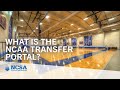 What is the NCAA Transfer Portal? How Does It Work?