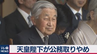 天皇陛下が公務取りやめ