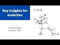 Key insights for evolution