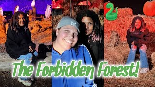 The Forbidden Forest experience!