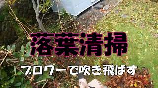 【落葉清掃】小さいけど音がうるさい！ブロワーで吹き飛ばす！！でもやっぱり便利