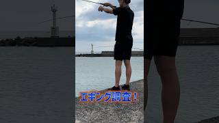 【エギング】真夏に堤防でイカは釣れるのか？🦑 #shorts #short #エギング