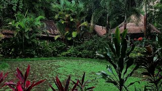 How to Fall Asleep Fast: Listen to Tropical Rain Sounds & Gentle Rolling Thunder | Natural Sleep Aid