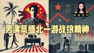 中国男演员缅北一游激发了爱国群众的战狼精神vs真实中国企业家是最弱势群体的现状